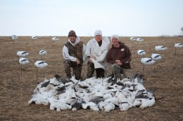 78 Spring snow geese taken over FeatherTek Decoys