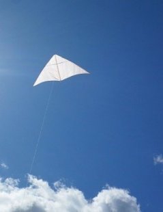 How to make a kite like this Dowel Delta, and many others.