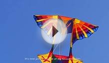 Fabulous Firebird kite by White Bird Kites