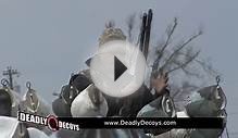 Spring Snow Goose Hunting with Up North Outdoors Over